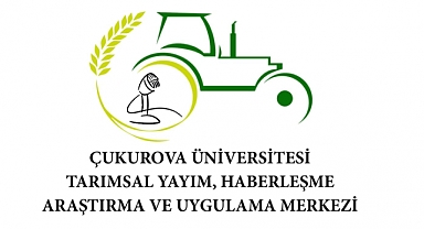 Türkiye'de kuraklığa dayanıklı tohum çalışması: Dört ürün için 18 milyon TL destek